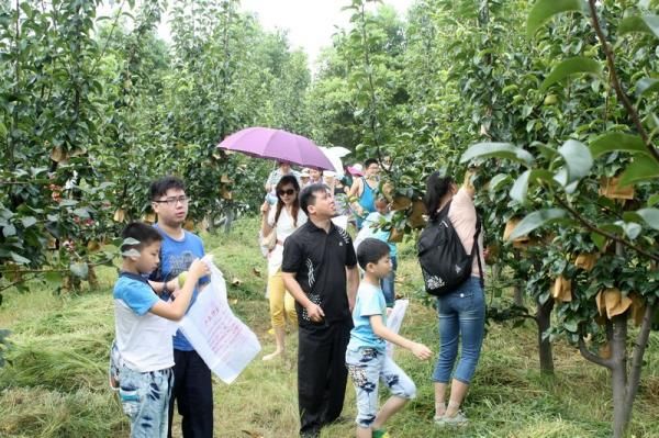 桃花源生态园体验采摘之乐